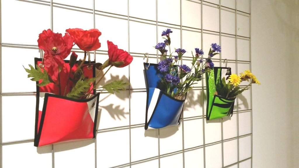 BEEseedzz - Korenbloem-1