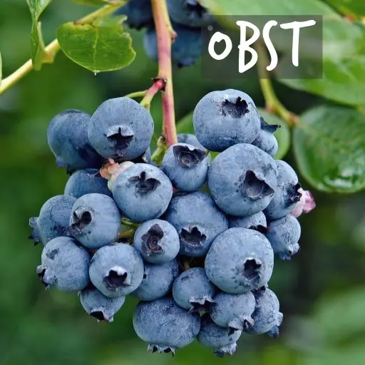 Biologisch angebaute Obststräucher Natural Bulbs