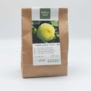 Dahlia Golden Torch - BIO