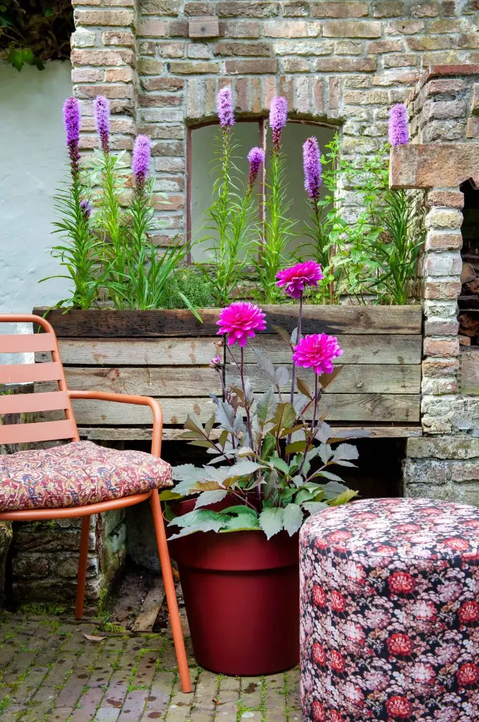 249211-Dahlia-Liatris-Mixed (lr).webp