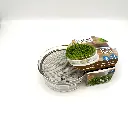 kweekset - Kiemgroente - BIO