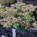 20260929_174346(1).webp