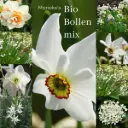 Marieke's Bioblumenzwiebel mix 2 m2 - BIO 