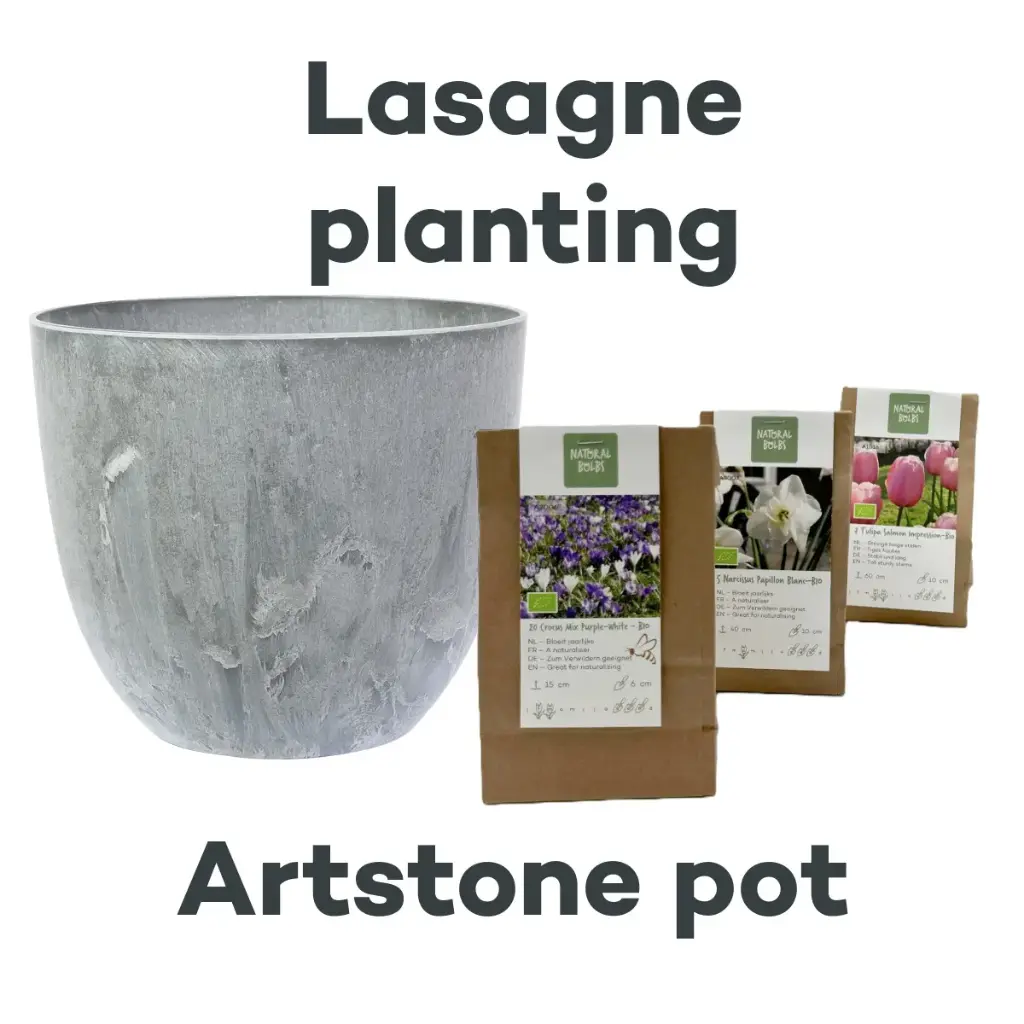Kollektion Lasagne mit Topf Artstone Grau - BIO