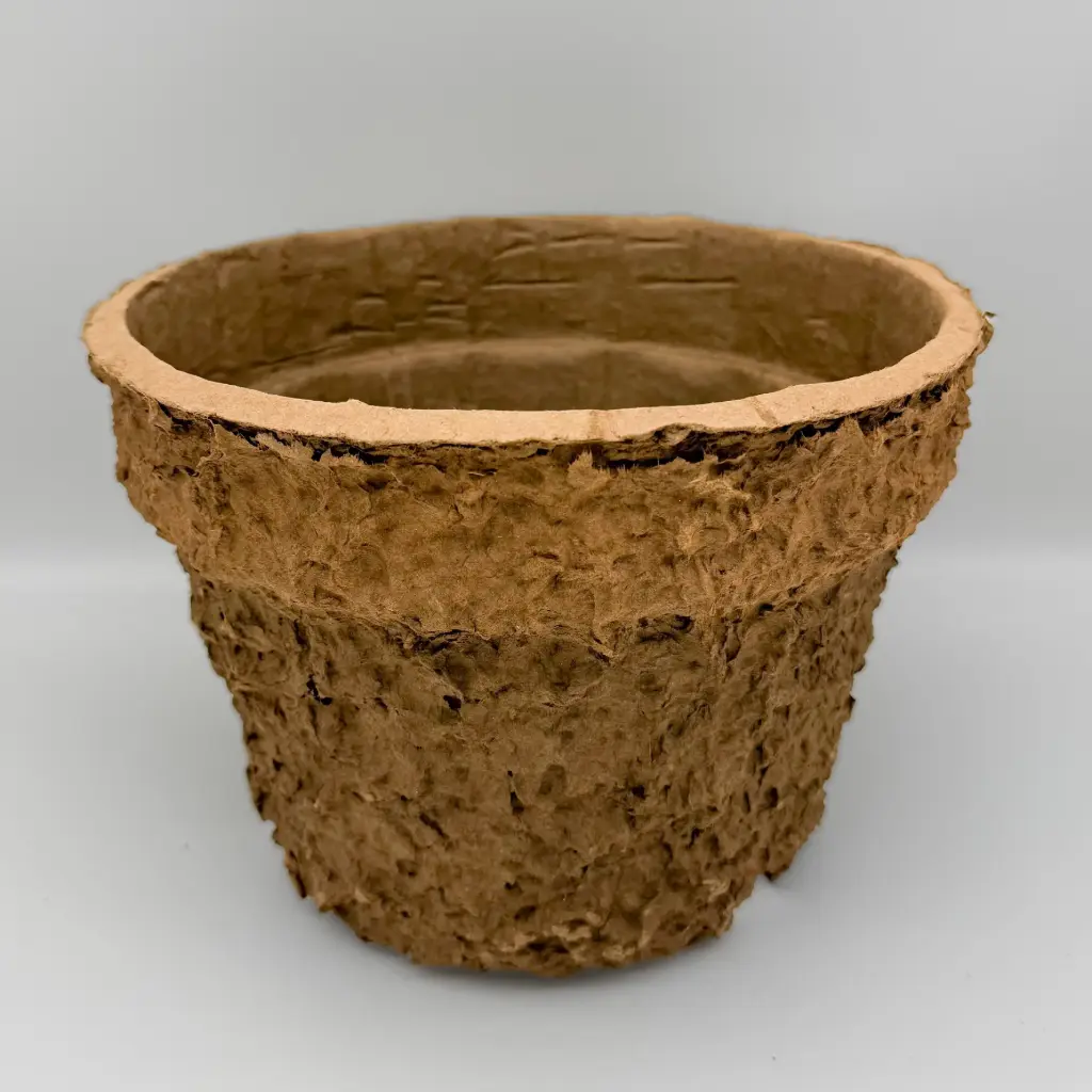 Natural Collection Blumentopf Carline 5L