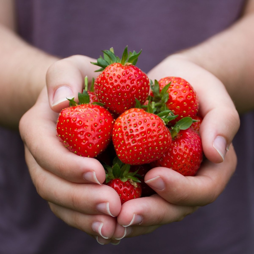 Glückliche Erdbeeren, Mama - BIO