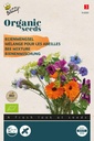 Blumenmischung für Bienen - BIO