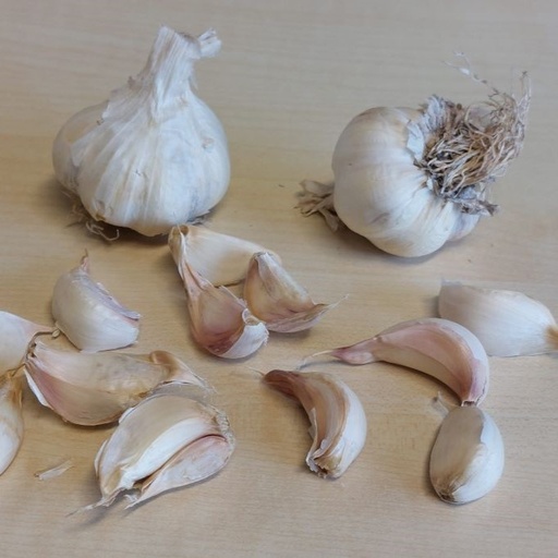 [A9066] Knoblauch Vallelado - BIO