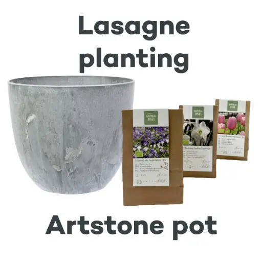 [AC99093] Kollektion Lasagne mit Topf Artstone Grau - BIO