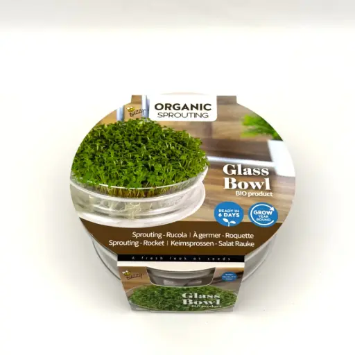 [Buzzy-085387] Rucola-Keimlingsset – Sprossen – BIO