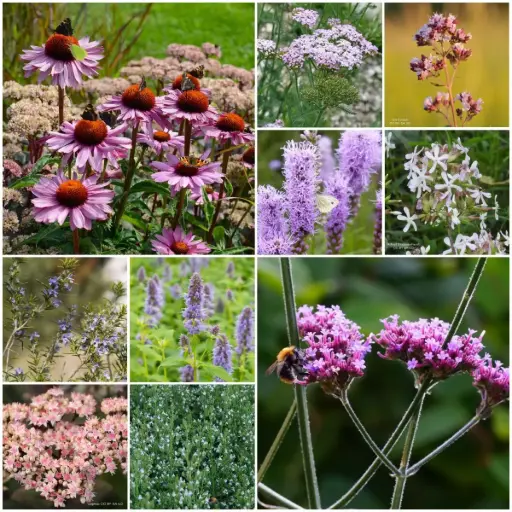 [B7901] Fliesenentferner Gartenbeet-Set Sonne 4 m² – BIO