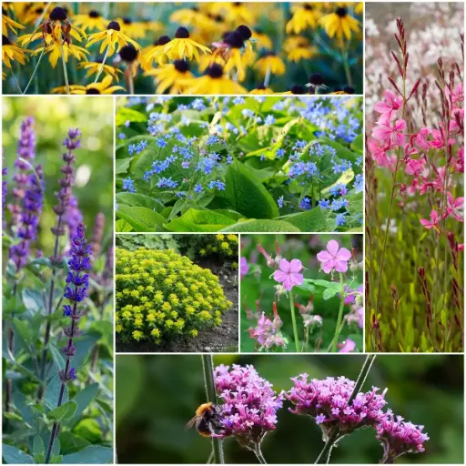 [X8906] Summen im Blumenbeet – BIO