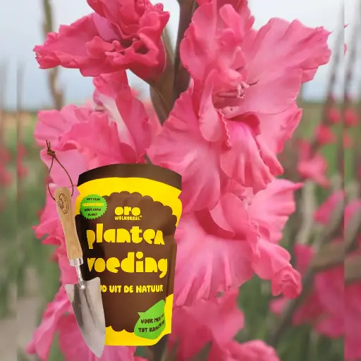 [BC99004-moeder] Komplettes Geschenkset für Mama - BIO