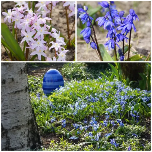 [AM99038] Bienenbankett Sternenhimmel - BIO