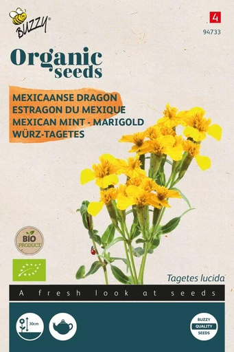 [Buzzy-94733] Würz-Tagetes - BIO
